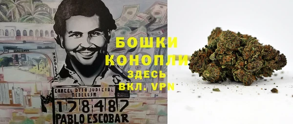 COCAINE Бикин