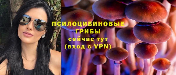 синтетический гашиш Няндома