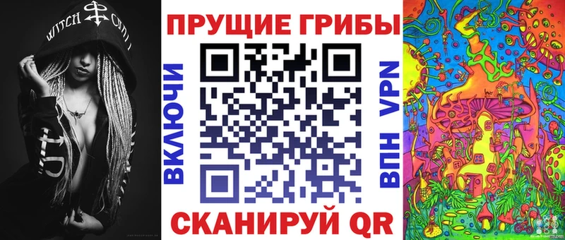это клад наркота Калининец Псилоцибиновые грибы MAGIC MUSHROOMS